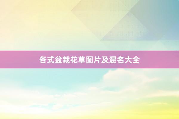 各式盆栽花草图片及混名大全