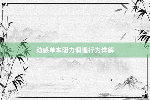 动感单车阻力调理行为详解