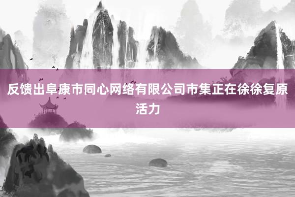 反馈出阜康市同心网络有限公司市集正在徐徐复原活力